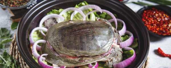 哺乳期甲鱼能吃吗