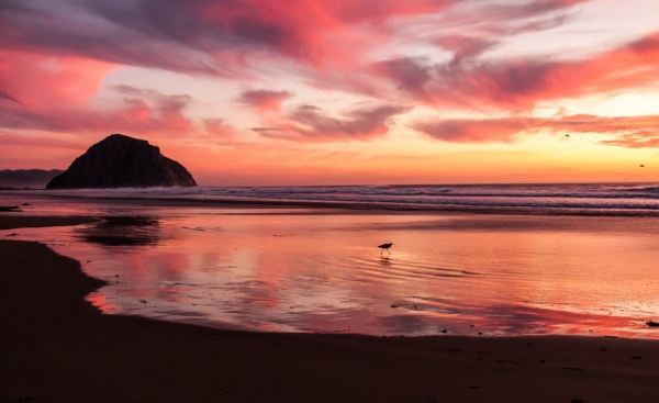 水瓶座男生动了真情的迹象