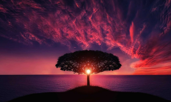 水瓶座男生动了真情的迹象