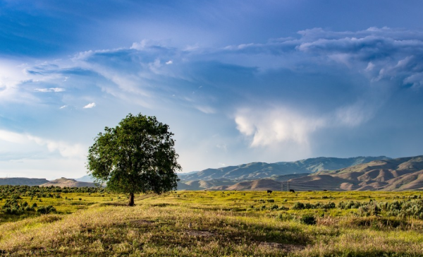 水瓶座男生动了真情的迹象