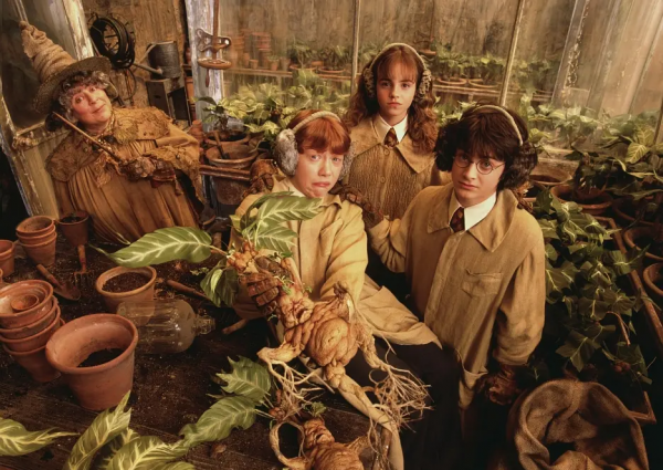 哈利波特系列电影顺序