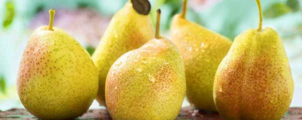 梨和桃子可以一起吃吗