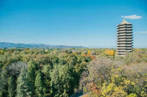 211里最好的15所大学