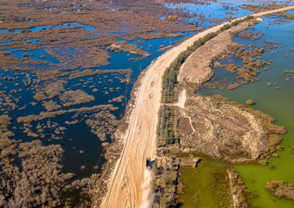 武威市有几个区几个县