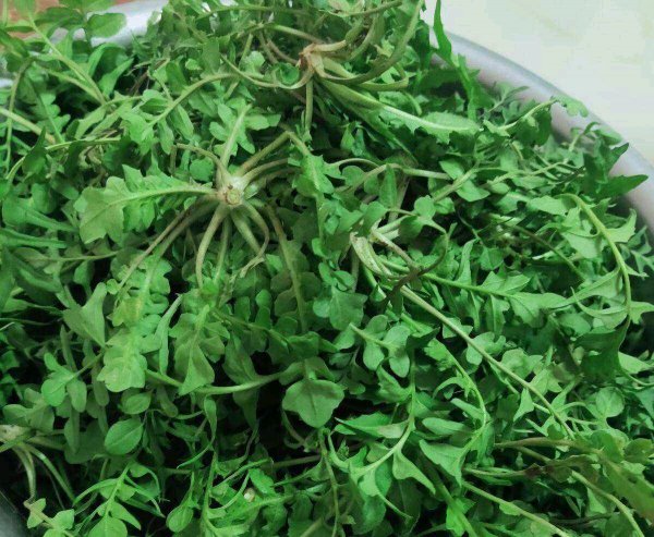 关于三月三的说法 资料