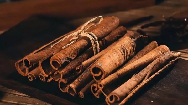 桂皮是什么树的皮