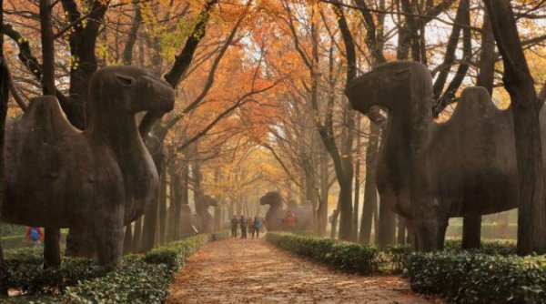 南京旅游景点有哪些好玩的地方