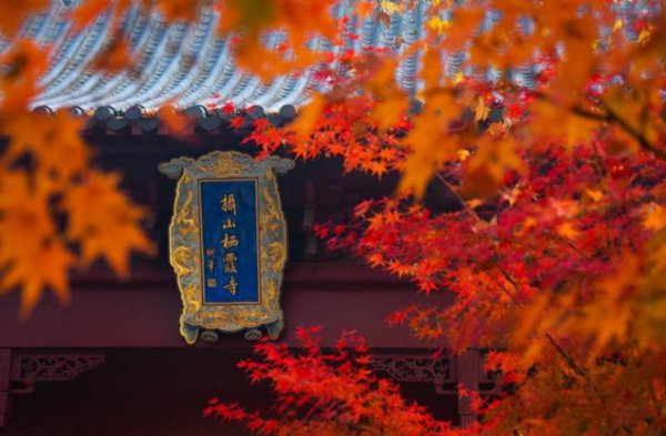 南京旅游景点有哪些好玩的地方