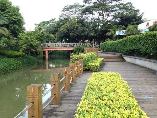 佛山值得去的免费景点推荐