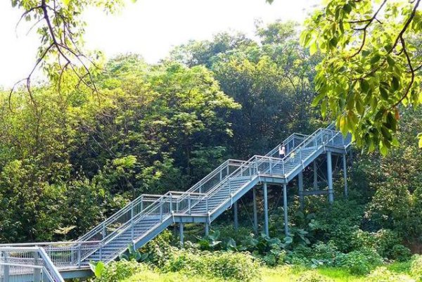 佛山值得去的免费景点推荐