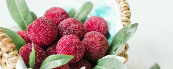 杨梅可以泡一夜吗