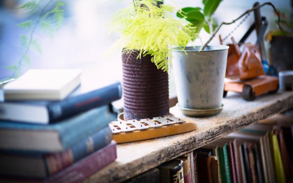 男生故意冷淡试探女生什么意思