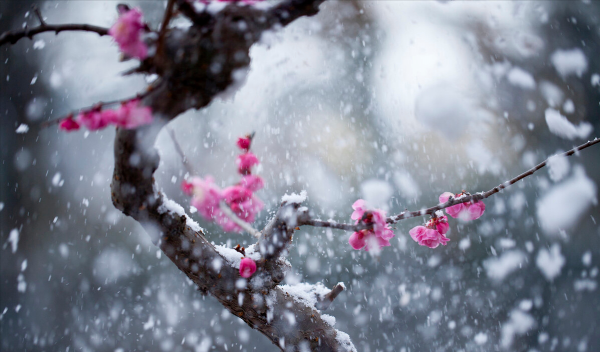 如何真正彻底改变自己