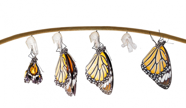 如何真正彻底改变自己