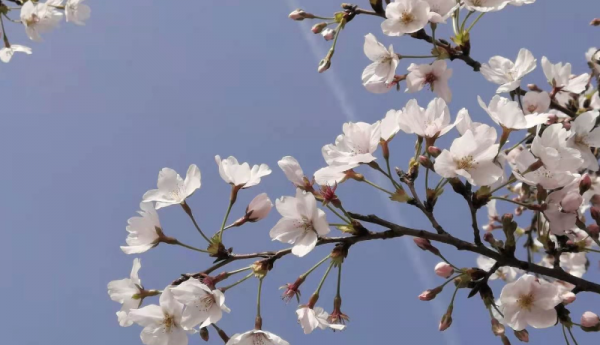 如何真正彻底改变自己