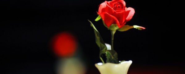 送妈妈适合送什么花好