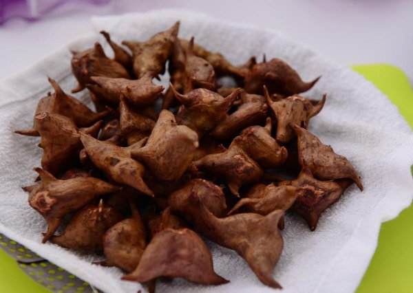 菱角要煮多久才可以吃