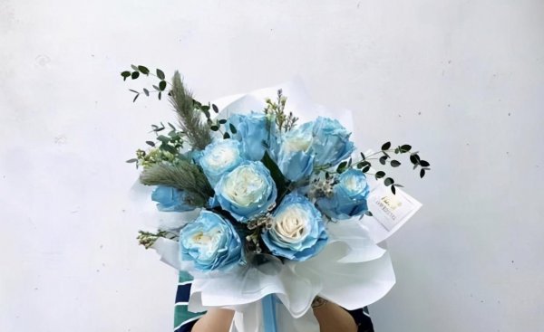 玫瑰花有哪些品种名称和颜色