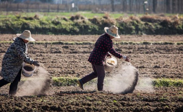 过磷酸钙是什么肥料