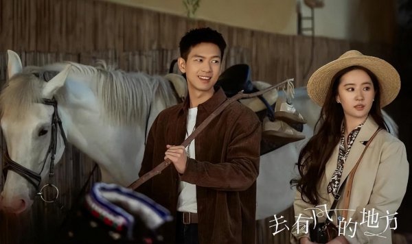 最火的网剧排行榜