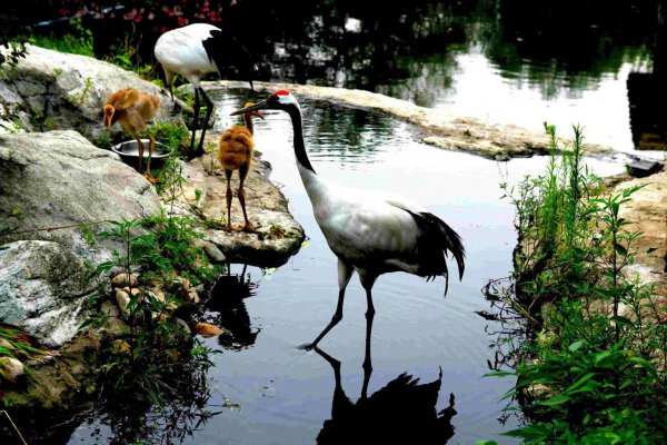 沈阳有哪些好玩的旅游景点推荐