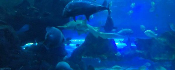 国庆湖南打卡景点有哪些