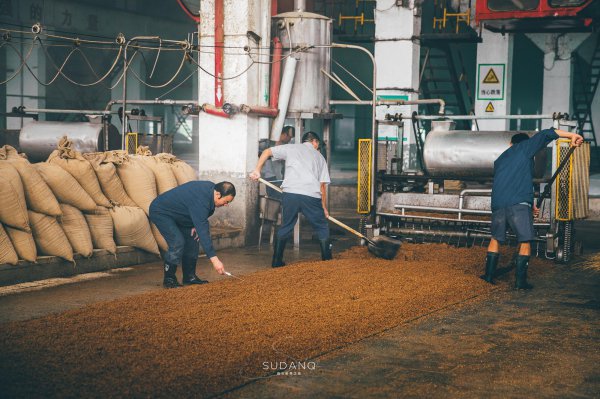 泗洪县属于哪个市