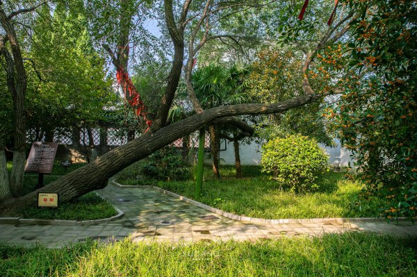 泗洪县属于哪个市