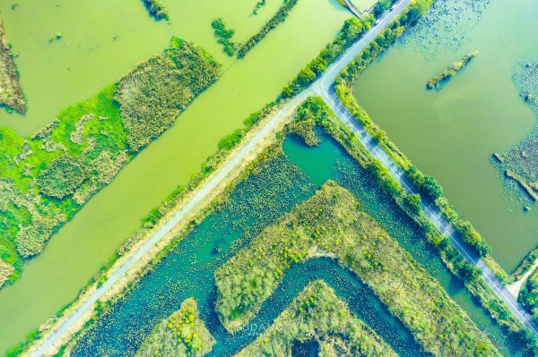 泗洪县属于哪个市