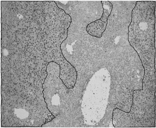 人为什么会老而不能长生不老