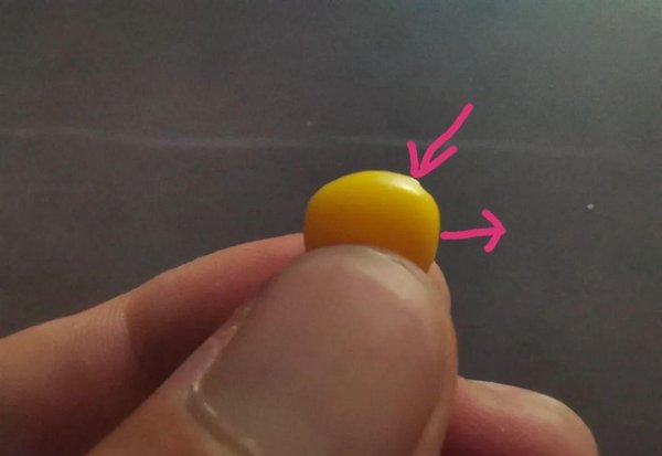 玉米挂钩的正确挂法图片