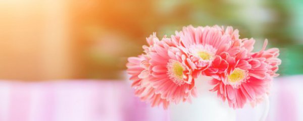 四月鲜花如何保鲜储存呢