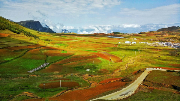 镇雄县属于哪个省哪个市