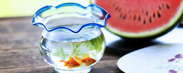 鱼缸水质多久可以消毒清洗