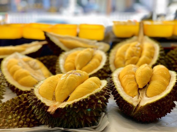 托曼尼榴莲和金枕头榴莲哪个好吃