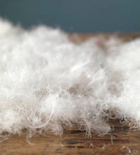 羽绒服性价比高的牌子