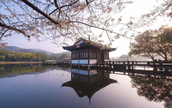 曲院风荷景点介绍