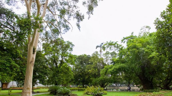 广西大学是211大学吗