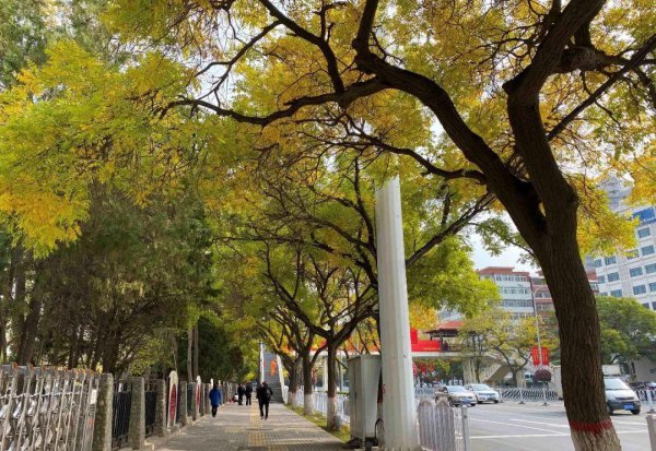 兰州是几线城市最新排名