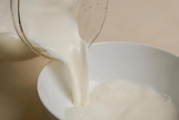 十大高蛋白食物排行榜