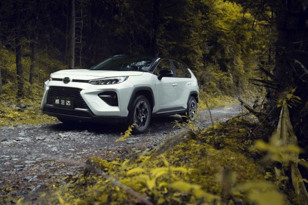 性价比高的车型排行榜