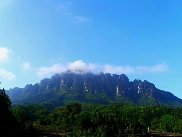 金秀县属于哪个市在什么地方