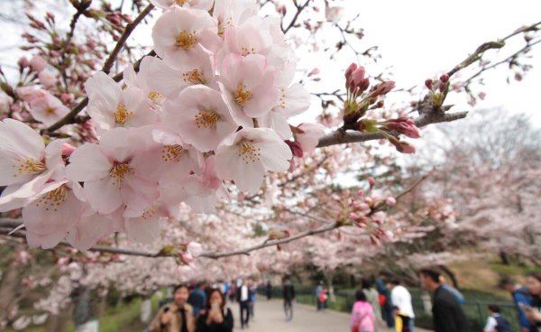 青岛旅游景点排行榜前十名