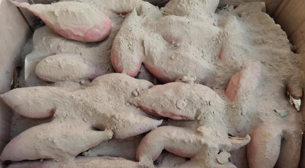 室内存放红薯最简单方法