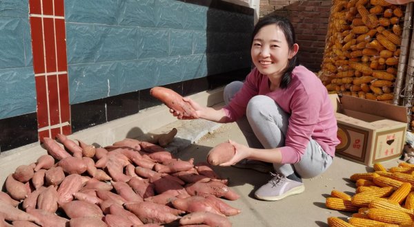 室内存放红薯最简单方法
