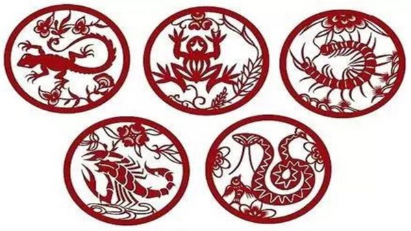 蜈蚣最害怕什么动物