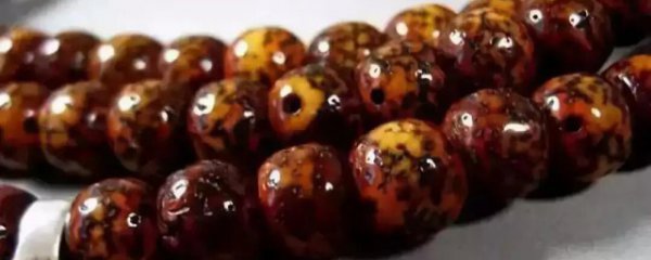 星月菩提如何分辨好坏