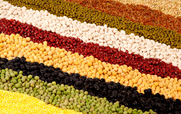 狗粮是什么原料做的