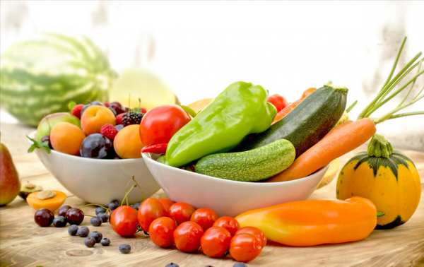 狗粮是什么原料做的