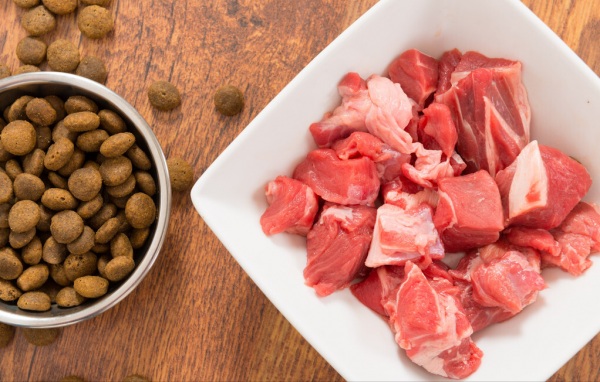 狗粮是什么原料做的